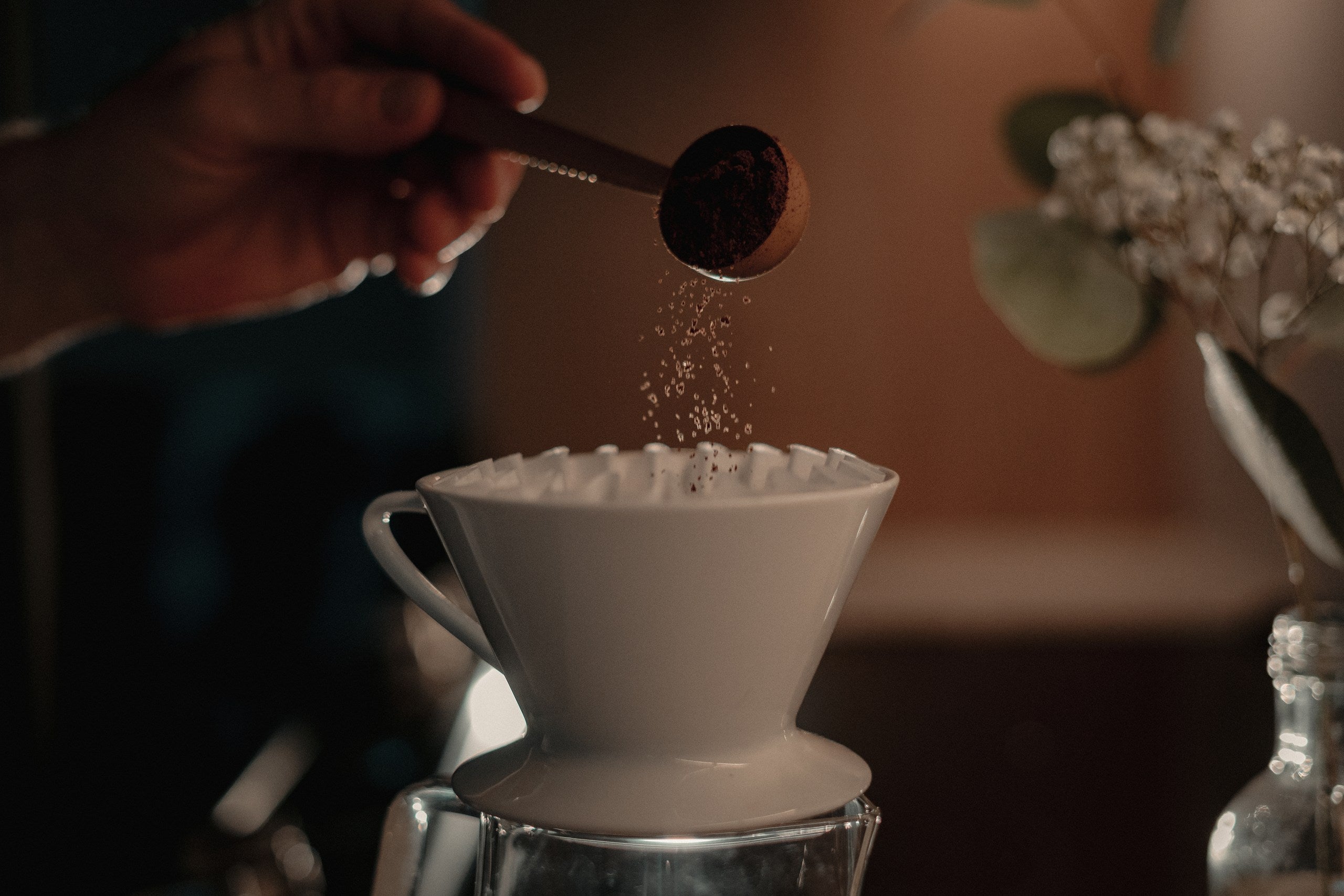 Equator Coffees to Open New Café in Sonoma