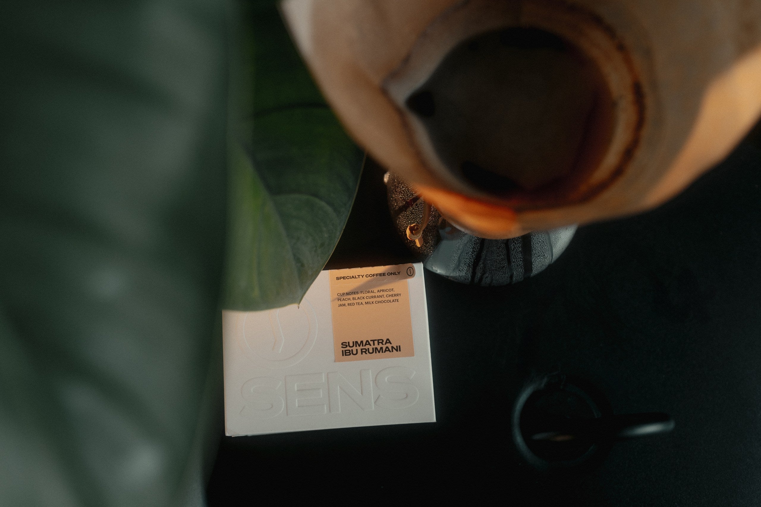 Costa Rican Coffee Praised for Its Excellence