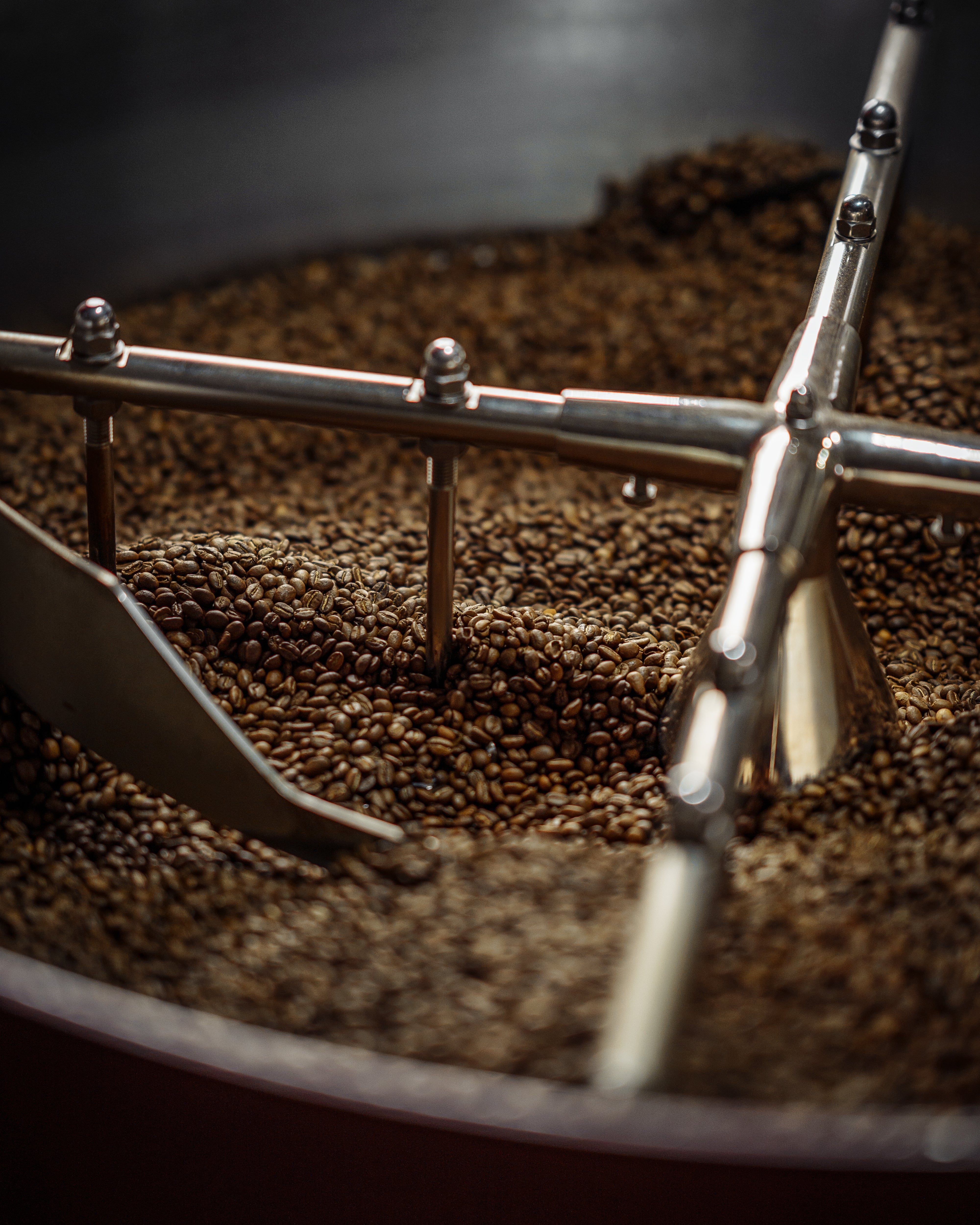 Exploring Specialty Coffee Equipment: Elevate Your Brew with the Right Tools